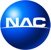Логотип Nanjing Automobile